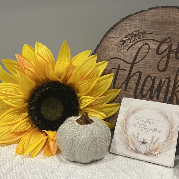 Pumpkin Fall Drink Coasters “Gather Together” fall decor - Picture 6 of 8